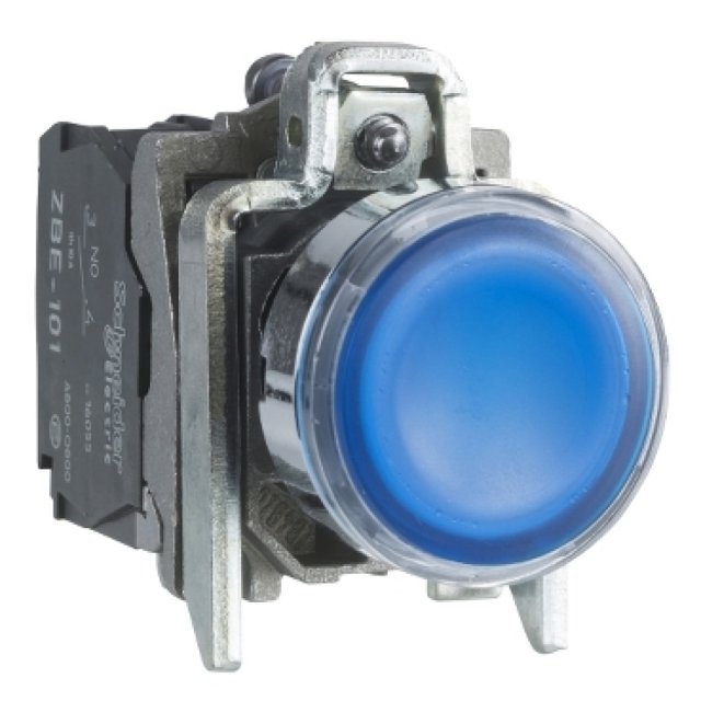 XB4-BW36B5 24V PULSANTE LUMIN. BLU 