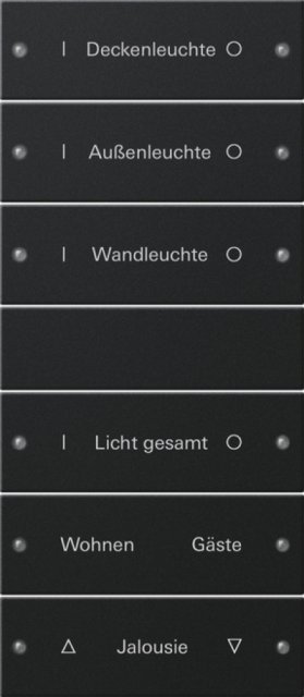 2206 005 KNX SCHWARZ WIPPENSET 6F.BESCHREIBBAR 