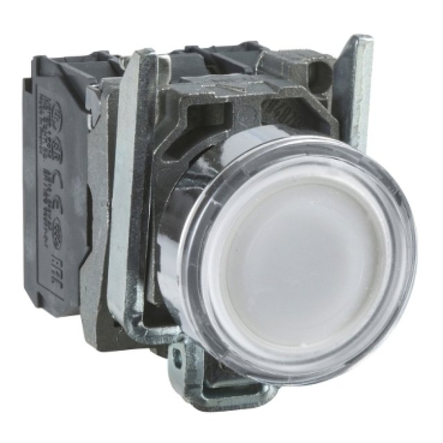 XB4-BW31B5 24V LED PULS.LUMINOSO BI 