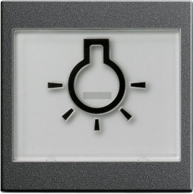 0216 28 SYST55 ANTHRAZIT WIPPE+SYMBOL LICHT 